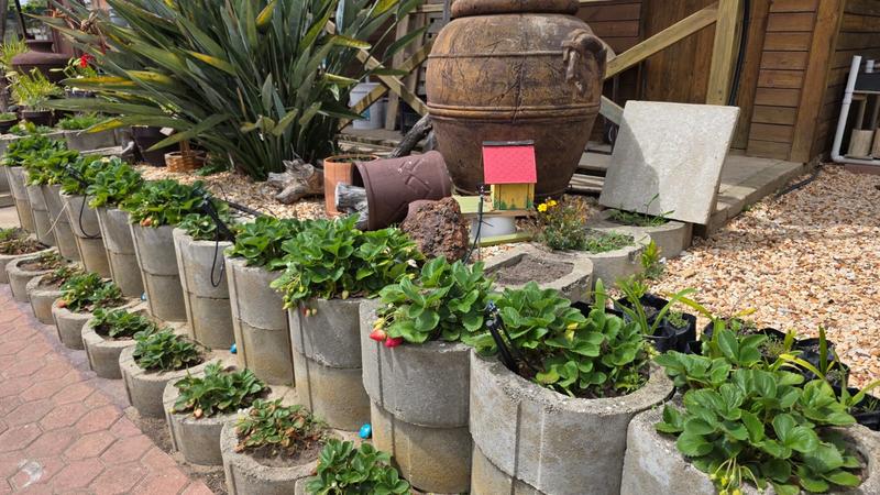 4 Bedroom Property for Sale in Albertinia Western Cape